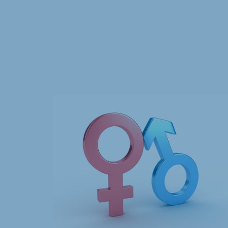 Gender Equality <br></noscript>And Economy